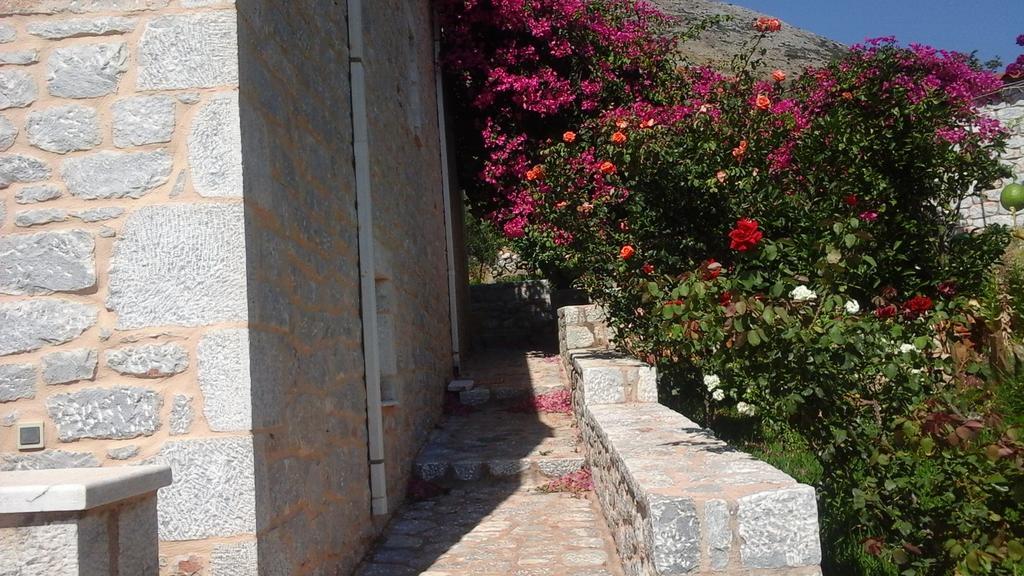 Sophia Mina Green Villa Bagian luar foto